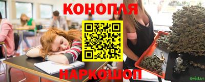 гашик Волгодонск