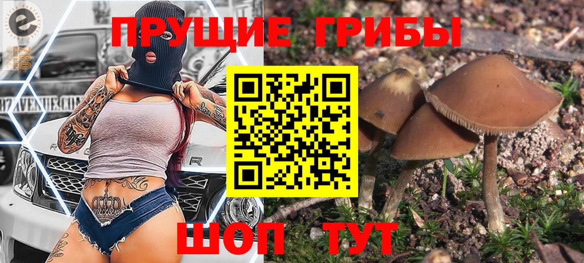 Галлюциногенные грибы Psilocybine cubensis  Вход с VPN  Грязи 